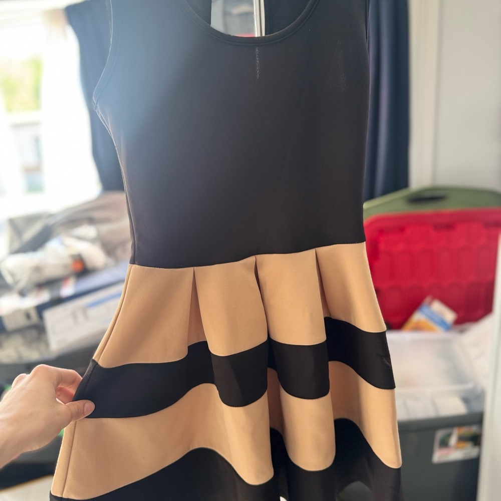 Elegant Black and Tan Striped Dress